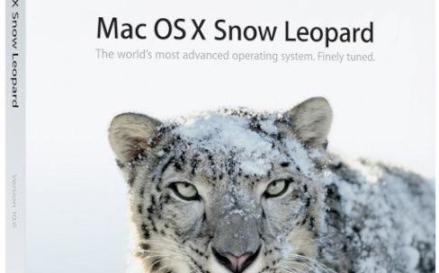 3 Easy Ways To Make snow leopard for sale Faster