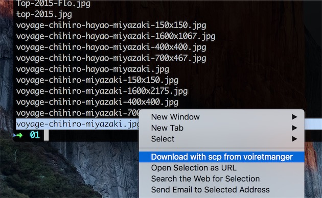 Quand on liste le contenu d’un dossier sur un ordinateur distant (comme ici, un serveur), on peut sélectionner un élément et avec un clic secondaire, le télécharger en local. À l’inverse, on peut prendre un fichier du Mac, le glisser dans la fenêtre et le mettre en ligne sur le serveur.