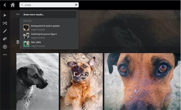 Le nouveau Plex permet de chercher des photos en utilisant leur sujet. Ici, une recherche de photos de chiens. Cliquer pour agrandir