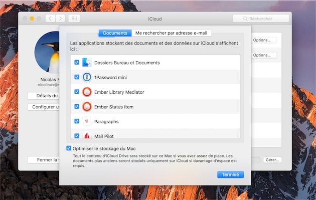 Avec macOS Sierra, tout ce qui est stocké dans iCloud Drive est optimisé : les originaux restent sur les serveurs, mais ils sont supprimés en local pour gagner de la place.
