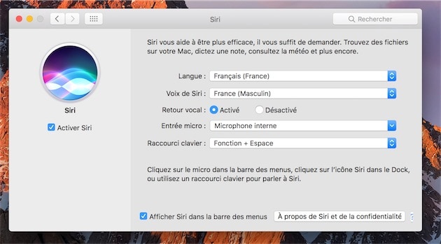 Réglages de Siri, où l’on peut choisir la langue, la voix de l’assistant, mais aussi le raccourci clavier qui active cette fonction.