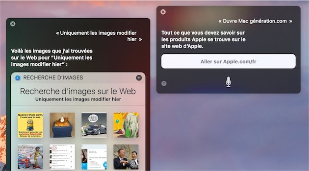 Siri repose souvent sur une recherche web pour répondre… parfois ce n’est pas une bonne idée. — Cliquer pour agrandir