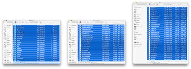 Quelques-uns des dossiers et fichiers liés au malware. — Cliquer pour agrandir
